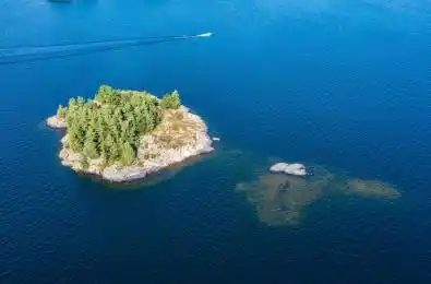 1 PARTRIDGE ISLAND N/A McDougall Ontario P0G 1G0