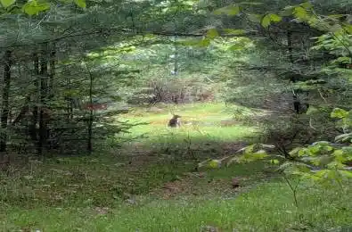 0000 Highway 7 N/A Addington Highlands Ontario K0H 1Z0