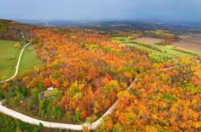 609669 12TH Side Road Blue Mountains Ontario L9Y 0P6