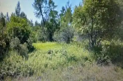 00 Whipperwill Lane South Dundas Ontario K0C 1M0