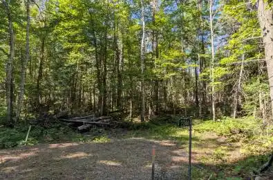 2244 YEARLEY Road McMurrich/Monteith Ontario P0A 1Y0