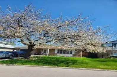 71 Grassington Crescent Brampton Ontario L6S 1Z5