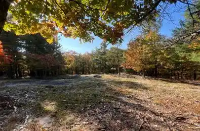 13 Ridgeway Drive Carling Ontario P0G 1G0