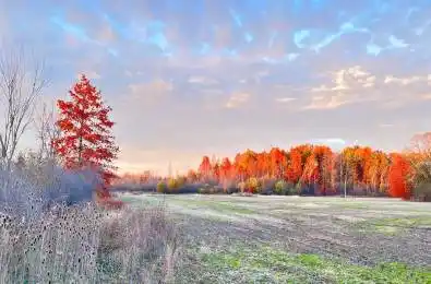 12880 Ort Road Niagara Falls Ontario L0S 1K0