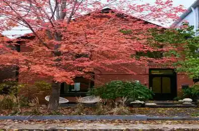 239 Borden Street Toronto C01 Ontario M5S 2N5