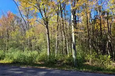 00 Dukelow Road Edwardsburgh/Cardinal Ontario K0E 1X0