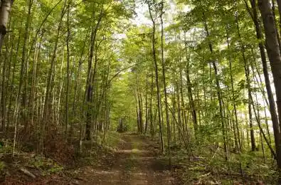 0000 COUNTY 43 Road North Glengarry Ontario K0C 1A0