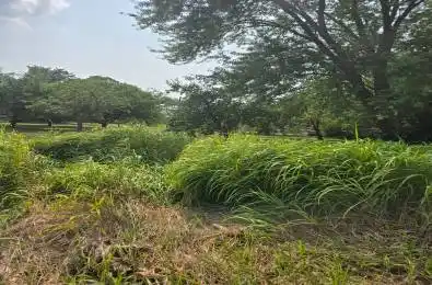 N/A Metro Road Georgina Ontario L4P 3C8