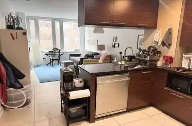 3 Market Street Unit# 217 Toronto C08 Ontario M5E 0A3