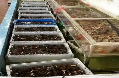 63 Silver Star Boulevard Unit# D20 Toronto E07 Ontario M1V 5E5