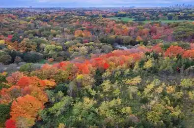 10 Inn On The Park Drive Unit# 2101 Toronto C13 Ontario M3C 0P9