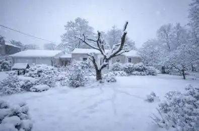 10773 Lakeshore Road Wainfleet Ontario L0S 1V0