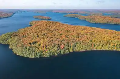 0 Bear Island Dysart et al Ontario P0A 1E0