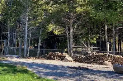 2916 Shannonville Road Tyendinaga Ontario K0K 2V0