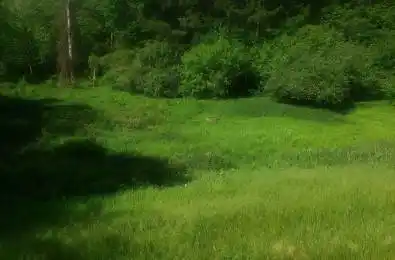 Part 3 Main Street Unit# 19904 Caledon Ontario L7K 0C2