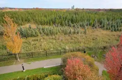 65 Yorkland Boulevard Unit# 210 Brampton Ontario L6P 4M5