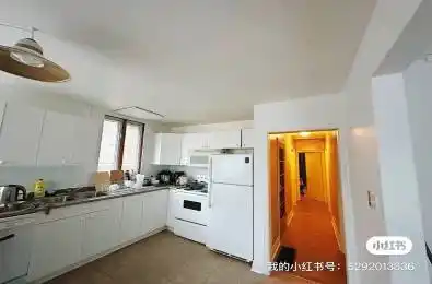 43 Kingsmount Street Hamilton Ontario L8S 3L2