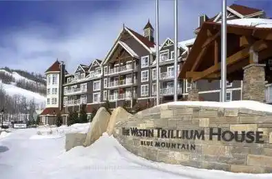 220 Gord Canning Drive Unit# 304 Blue Mountains Ontario L9Y 0K9