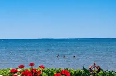 44 Trott Boulevard Unit# 17 Collingwood Ontario L9Y 5B7