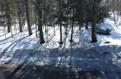 46 Ridgeway Drive Carling Ontario P0G 1G0