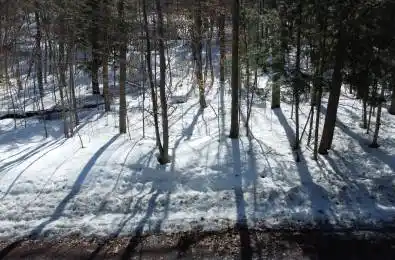 44 Ridgeway Drive Carling Ontario P0G 1G0