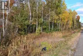 Lot 87-65 Beatty Drive Unit# Lot, Lower Woodstock, New Brunswick E7M4E6, ,Commercial,For Sale,Lot 87-65 Beatty Drive,NB081050